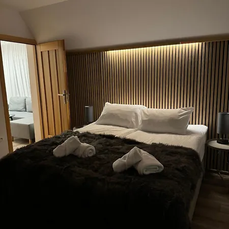 Owca I Baran ザコパネ