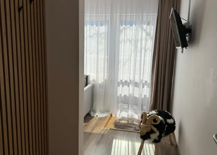 Owca I Baran 住宿加早餐酒店 3*