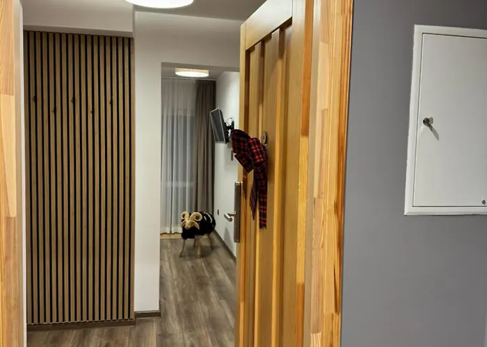 Owca I Baran 住宿加早餐酒店 扎科帕内