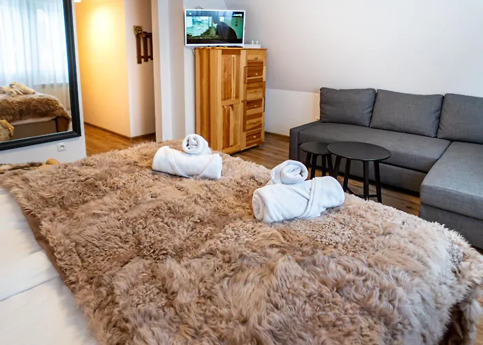 Owca I Baran 扎科帕内