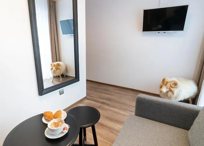 住宿加早餐酒店 Owca I Baran 3*