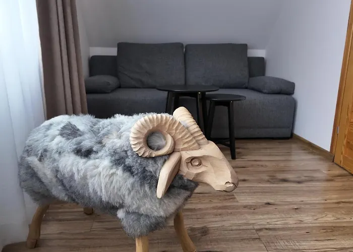 Owca I Baran 3* 扎科帕内